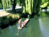 Punting on the Avon

Trip: New Zealand
Entry: The Kaikoura Coast and Christc
Date Taken: 09 Mar/03
Country: New Zealand
Viewed: 1900 times
Rated: 10.0/10 by 2 people